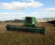 IDR-Paraná celebra 50 anos de pesquisa com lançamento de novas cultivares