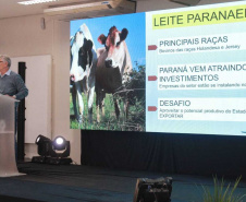 Paraná pode ampliar mercado de leite com tecnologia, planejamento e sanidade