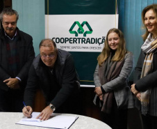 Viveiro de mudas de Pato Branco é o primeiro a receber melhorias em projeto voluntário