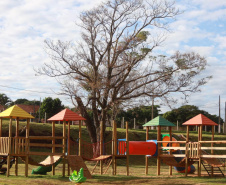 Governo instala colmeias do Poliniza Paraná e inaugura Parque Urbano na Semana do Meio Ambiente 