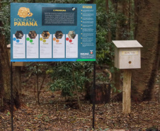 Governo instala colmeias do Poliniza Paraná e inaugura Parque Urbano na Semana do Meio Ambiente 