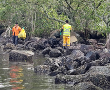 IAT realiza mutirão para coleta de resíduos sólidos em manguezais do Litoral do Estado