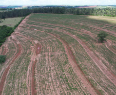 Adapar treina operadores de drones para defesa sanitária vegetal