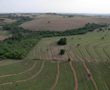 Adapar treina operadores de drones para defesa sanitária vegetal