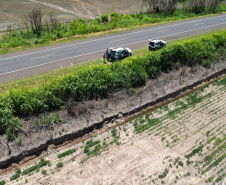 Adapar treina operadores de drones para defesa sanitária vegetal