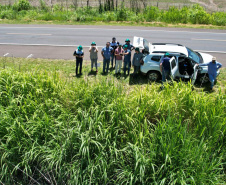 Adapar treina operadores de drones para defesa sanitária vegetal