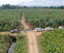 Adapar treina operadores de drones para defesa sanitária vegetal