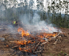 Estado alerta para necessidade de cuidados contra incêndios florestais