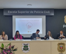 PCPR desenvolve campanha com foco no atendimento de mulheres vítimas de violência doméstica