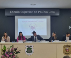 PCPR desenvolve campanha com foco no atendimento de mulheres vítimas de violência doméstica