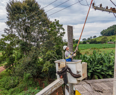 Copel completa 68 anos prestes a concluir 10 mil km de redes do Programa PR Trifásico