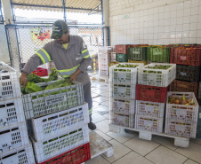  Programa da Ceasa Paraná faz doação de 6 mil quilos de hortigranjeiros ao Hospital Erasto Gaertner