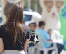  Até o próximo domingo mais sete cidades recebem o CastraPet Paraná