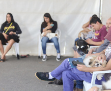  Até o próximo domingo mais sete cidades recebem o CastraPet Paraná