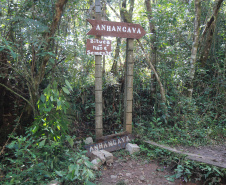 Projeto Parques Paraná é semifinalista do Prêmio Braztoa de Sustentabilidade 2022