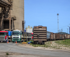 Aumenta transporte ferroviário de carga pelos portos paranaenses