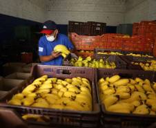  Programa da Ceasa Paraná faz doação de 6 mil quilos de hortigranjeiros ao Hospital Erasto Gaertner