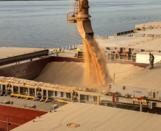 Porto espera exportar cerca de 6,6 milhões de toneladas de grãos e farelo de agora até o final do ano