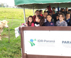 Polo de Pesquisa e Inovação do IDR-Paraná, em Paranavaí, recebe visitas de estudantes -