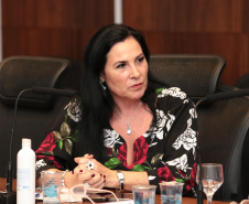 Vice-governador do Estado do Paraná, Darcia Piana, durante reunião com cônsules da União Europeia - 