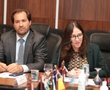 Vice-governador do Estado do Paraná, Darcia Piana, durante reunião com cônsules da União Europeia - 