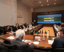 Vice-governador do Estado do Paraná, Darcia Piana, durante reunião com cônsules da União Europeia - 