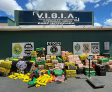 PCPR apreende mais de 3,5 toneladas de maconha em Santo Inácio