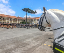 Polícia Militar do Paraná homenageia policiais que participaram da Operação Guarapuava