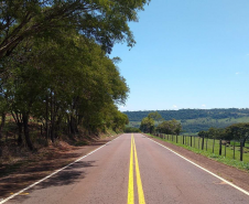 DER/PR está contratando serviço de poda de árvores em rodovias do Oeste e Sudoeste