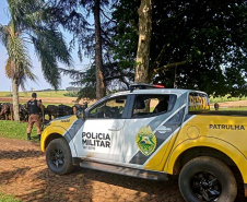 Em 90 dias, Operação Segurança Rural prende mais de 100 pessoas e apreende 32 armas em ambientes rurais