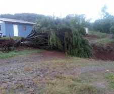 Novo balanço da Defesa Civil aponta 19 municípios atingidos pelas fortes chuvas no Paraná