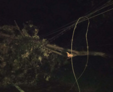 Copel trabalha para reestabelecer energia em locais atingidos por temporais- Região Vale do Ivaí - 