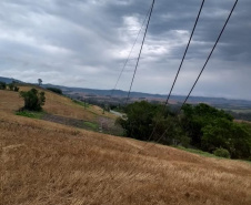 TEMPORAIS