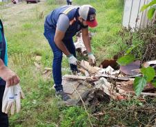 Saúde reforça cuidados para evitar acidentes com escorpião