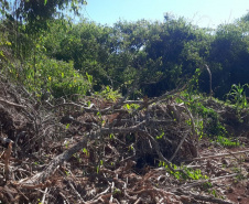 POlícia aMBIENTAL