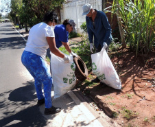 Sesa divulga balanço do Dia D de combate à dengue no Estado 