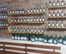 Produtores de uva de Mariópolis recebem recursos do Estado para ampliar industrialização de sucos e vinhos