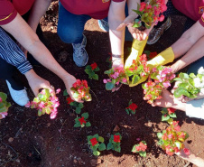 Rios de Cascavel recebem flores e árvores   