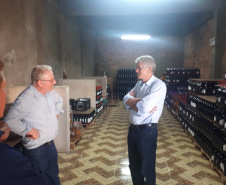 Produtores de uva de Mariópolis recebem recursos do Estado para ampliar industrialização de sucos e vinhos