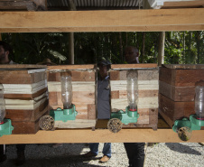 MORRETES (BRASIL), 10/11/2022;  Agricultores de Morretes recebem curso apicultura em uma propriedade com criacção de abelhas, Paraná, Brasil, em 10 de Novembro de 2022. Foto: Hedeson Alves/TECPAR