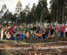 APP Paraná Mais Verde facilita pedido de mudas de árvores nativas para o IAT
