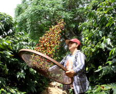  Café, tecnologias, sucessão e mulheres no agro são as novas categorias do Prêmio Orgulho da Terra