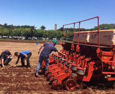 Parceria entre IDR-Paraná e Cocriagro traz smart farm como vitrine tecnológica  de soluções inovadoras para produtores rurais