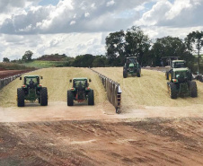 Com participação de mais de 300 produtores, IDR-Paraná realiza o 4º Torneio de Silagem