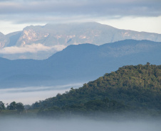 Colégios da rede estadual vão receber 1,6 mil exemplares de livro sobre a geografia e o meio ambiente do Paraná