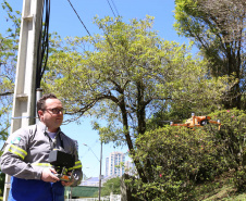 Dispositivos tecnológicos tornam-se aliados na inspeção de redes elétricas -