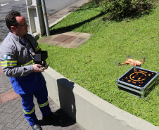 Dispositivos tecnológicos tornam-se aliados na inspeção de redes elétricas -