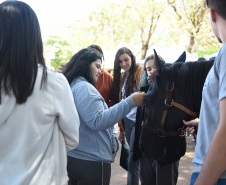 I Feira de profissões da UENP reúne mais de 3 mil estudantes