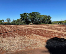 Parceria entre IDR-Paraná e Cocriagro traz smart farm como vitrine tecnológica  de soluções inovadoras para produtores rurais