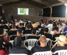 Estudantes conhecem tecnologias para a produção de frutas de clima temperado na Estação de Pesquisa do IDR-Paraná